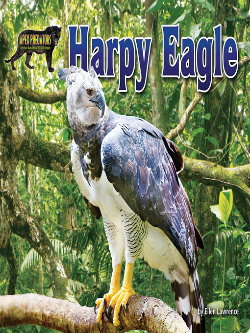 Kápumynd af Harpy Eagle